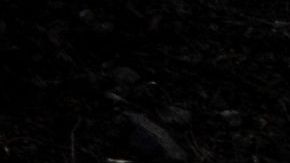 Vista de los restos después de que un autobús cayera por un acantilado en Matucana, al este de Lima, el 31 de agosto de 2021. - Al menos 32 personas murieron, entre ellas dos niños, y otras veinte resultaron heridas al caer un autobús de pasajeros que viajaba a Lima un acantilado la madrugada de hoy, informó la Policía Peruana. (Foto de Ernesto BENAVIDES/AFP) (Foto de ERNESTO BENAVIDES/AFP vía Getty Images)