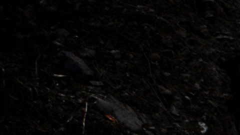 Vista de los restos después de que un autobús cayera por un acantilado en Matucana, al este de Lima, el 31 de agosto de 2021. - Al menos 32 personas murieron, entre ellas dos niños, y otras veinte resultaron heridas al caer un autobús de pasajeros que viajaba a Lima un acantilado la madrugada de hoy, informó la Policía Peruana. (Foto de Ernesto BENAVIDES/AFP) (Foto de ERNESTO BENAVIDES/AFP vía Getty Images)