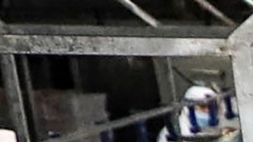 Niños de tan solo 13 años están usando ácido y mangueras a presión para limpiar sangre, grasa y plumas de máquinas industriales.