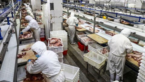 Niños de tan solo 13 años están usando ácido y mangueras a presión para limpiar sangre, grasa y plumas de máquinas industriales.