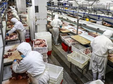 Niños de tan solo 13 años están usando ácido y mangueras a presión para limpiar sangre, grasa y plumas de máquinas industriales.