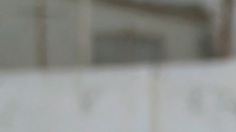 Han pedido al gobierno federal que asigne recursos y personas para ayudar a los solicitantes de asilo y ponerlos en contacto con sus patrocinadores y destinos finales.