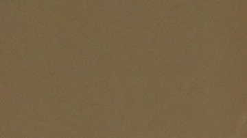 US-POLITICS-CAPITOL-UNREST