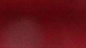 Reinoso consideró que Briseño es una figura a seguir en la selección mexicana.