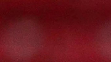 Reinoso consideró que Briseño es una figura a seguir en la selección mexicana.