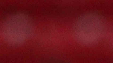 Reinoso consideró que Briseño es una figura a seguir en la selección mexicana.