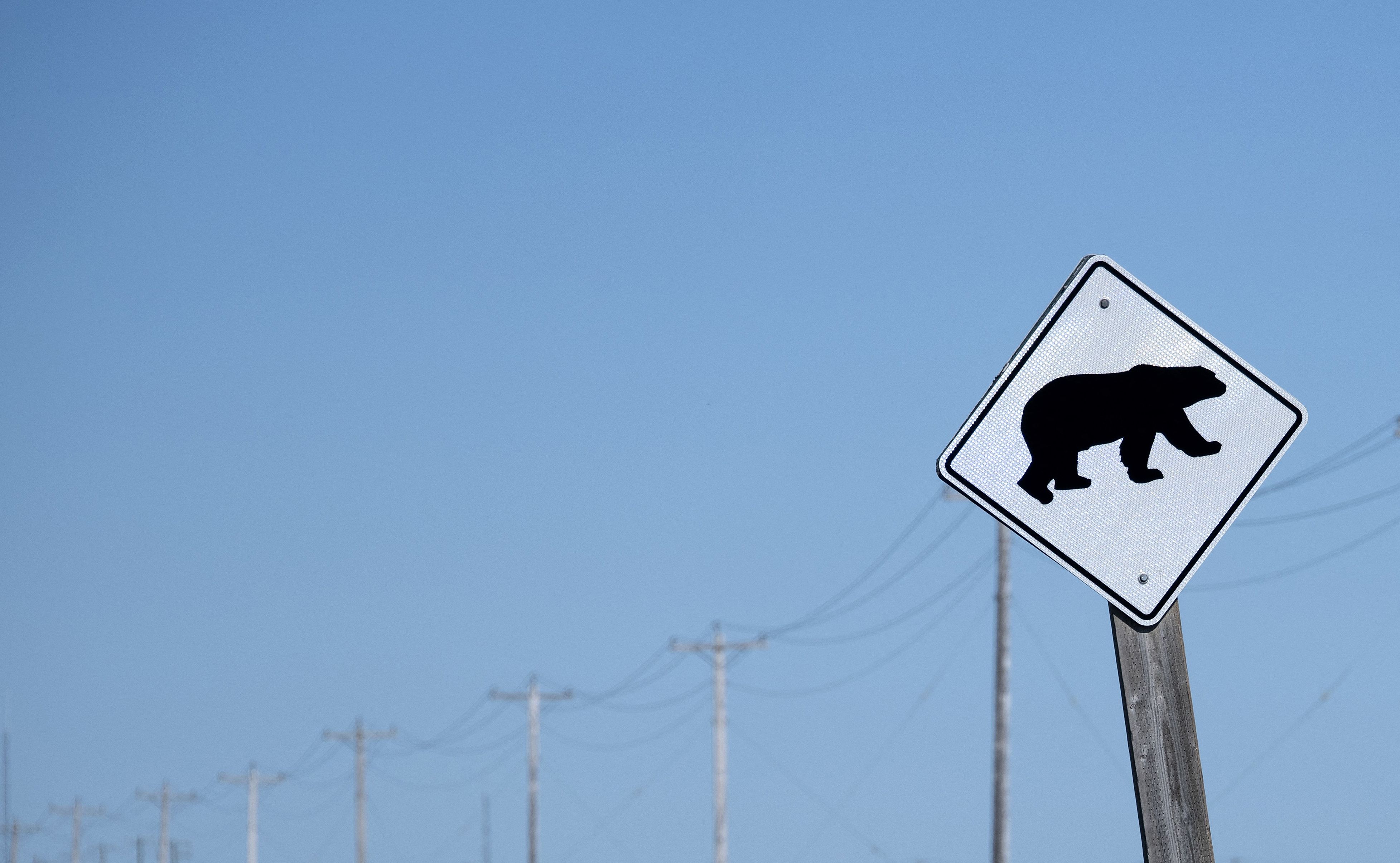 Una señal de advertencia de oso polar en las afueras de Churchill, Manitoba, al norte de Canadá. (Foto de OLIVIER MORIN / AFP vía Getty Images)
