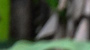 En lo que va de año, más de 330,000 personas ya han cruzado esta región montañosa.