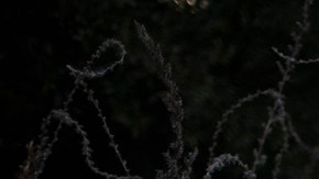 Arranca en Texas juicio electoral que podría afectar voto latino el 2024