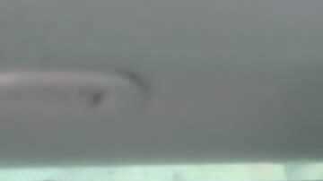 Matteo Messina Denaro al momento de su arresto en enero.