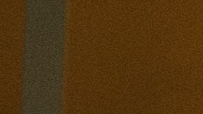 Nichols fue arrestado en Memphis tras una presunta infracción de tráfico, tres días después murió en el hospital por las secuelas de la paliza de los policías.