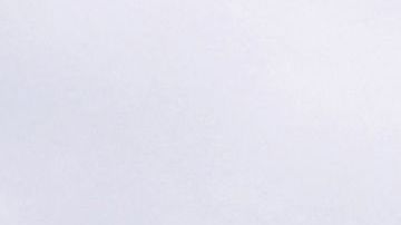 Un águila, la mascota del Niza, sobrevuela el estadio previo al encuentro entre el OGC Nice y el Toulouse FC.