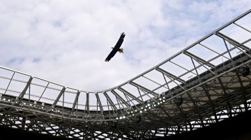 Un águila, la mascota del Niza, sobrevuela el estadio previo al encuentro entre el OGC Nice y el Toulouse FC.