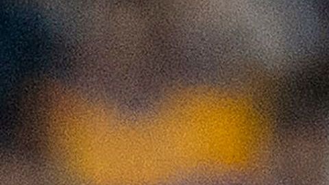 El jugador confía en poder convertirse en todo un referente dentro de los Tigres.