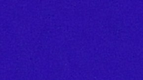 Beyoncé cumplió 42 años el pasado 4 de septiembre.