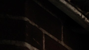 Lin y Zhao nfrentan hasta cinco años de cárcel por cada cargo.