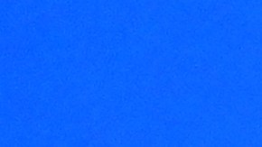 Fatma Samoura durante un congreso de la FIFA.