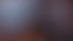 Simone Biles, gimnasta estadounidense.