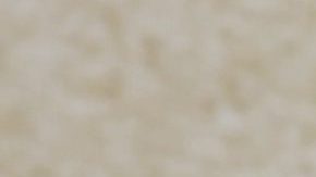 William Levy y Elizabeth Gutiérrez tienen dos hijos juntos.