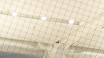 Los viajeros manifestaron que desde que empezó la pandemia de la covid-19, los vuelos se han vuelto poco confiables.