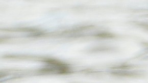 No revelaron el nombre del niño atacado por el caimán.