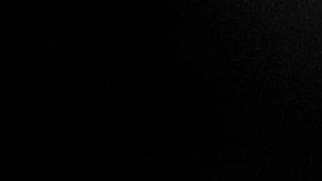 Shakira celebrará su día en Spotify.