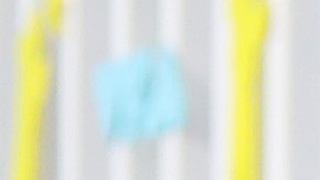 Camilo pidió disculpas a su amada esposa.