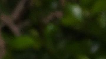 Esta no es la primera vez que surgen rumores sobre esta casa de George Clooney.