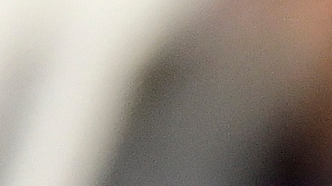 El fanático fallecido Mooney estuvo abonado en las gradas del Gillette Stadium por más de 30 años.