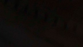 Qué puede pasar si no se evita un cierre gubernamental en EE.UU.