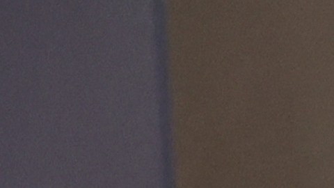 El reguetonero Anuel AA sostuvo un matrimonio con Yailin 'la más viral'.