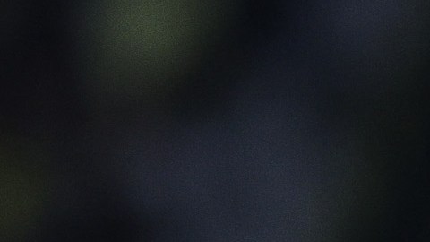 El jugador confía en levantar el título de campeón de la Liga MX con las Águilas del América.