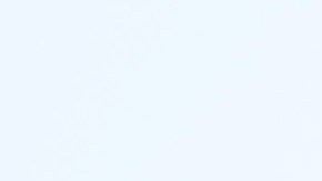 El objetivo principal es identificar personas que cumplan con criterios de elegibilidad para solicitar autorización de trabajo.