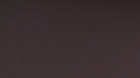 Pava LaPere fue hallada sin vida por la policía de Baltimore.