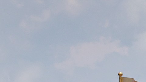 Un oso negro encendió las alarmas en Magic Kingdom en Disney World.