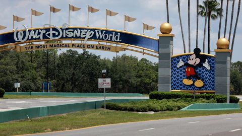 Un oso negro encendió las alarmas en Magic Kingdom en Disney World.