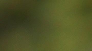 El peleador mexicano recibió el total respaldo de Hugo Sánchez para su duelo contra Jermell Charlo.