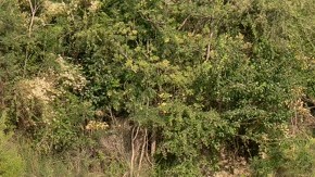 La colocación de boyas en el Río Grande es parte de la operación Estrella Solitaria.