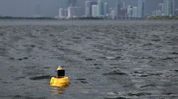 El incidente se registró en las aguas de la Biscayne Bay en Miami.