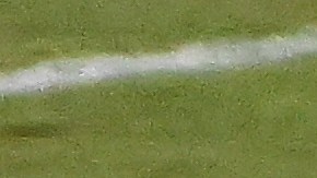 Lionel Messi y Sergio Busquets.