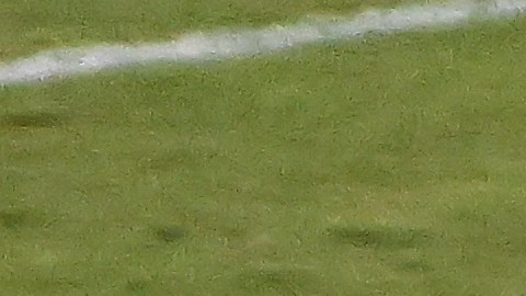 Lionel Messi y Sergio Busquets.