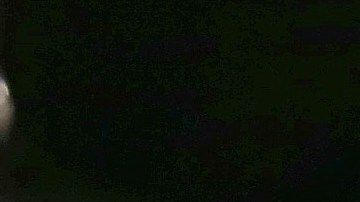 Miles de nuevos inmigrantes tienen 'parole', una solución temporal a su estancia en EE.UU.