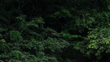 ¿Para quiénes no aplicarán las nuevas medidas que entrarán en vigencia el 2 de octubre en Panamá para frenar a los migrantes irregulares?