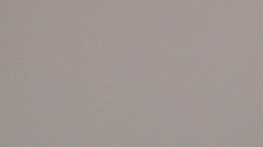 Nikki Haley cuestiona viajes de miembros del gabinete de Joe Biden a China: "Vergonzoso"