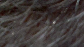 Al aspirante presidencial Chris Christie le preocupa la salud mental de Trump