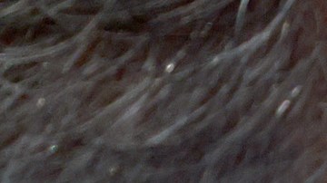 Al aspirante presidencial Chris Christie le preocupa la salud mental de Trump