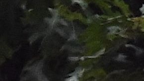 Crisis violenta en Washington DC.