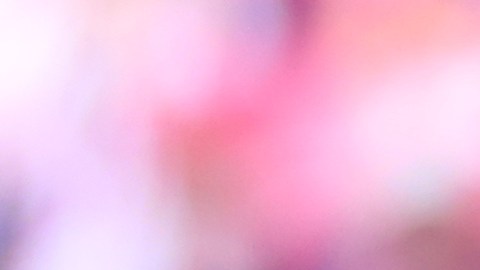 El portero de Chivas de Guadalajara confía en poder vencer a las Águilas del América.