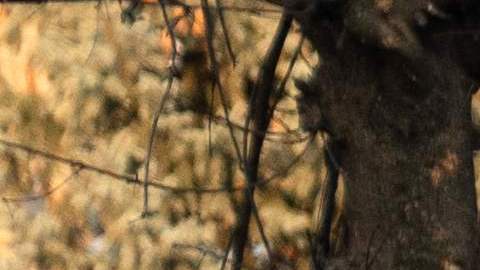 Al menos 17 muertos en la ciudad ucraniana de Kostyantynivka.