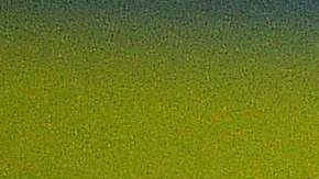 Neymar lidera a la 'Canarinha' en el inicio de las eliminatorias al Mundial.